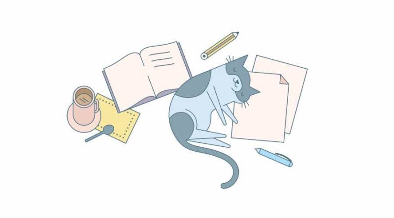 猫和家庭作业矢量