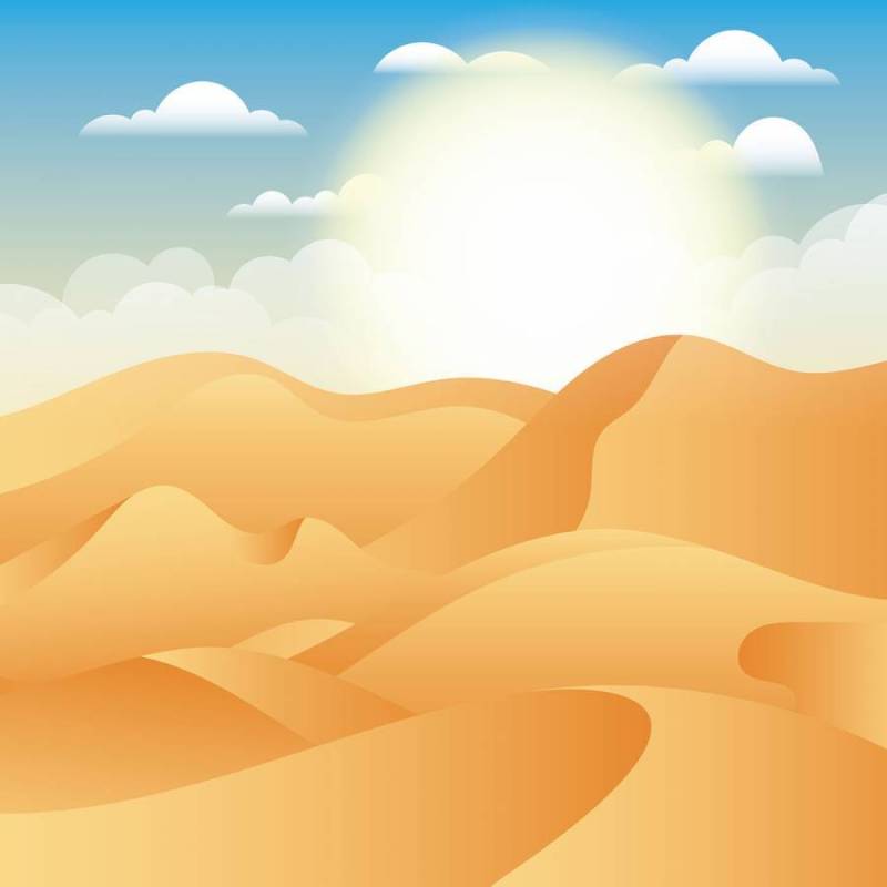 沙漠景观图