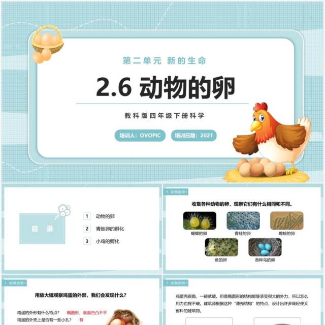 教科版四年级下册动物的卵课件PPT模板 教科版四年级下册动物的卵课件PPT模板