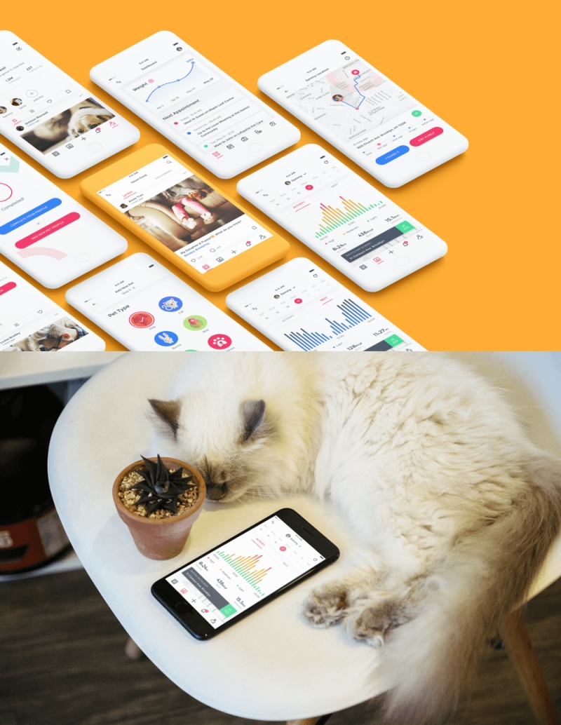 宠物社交网络和健康跟踪应用UI工具包，宠物爱好者