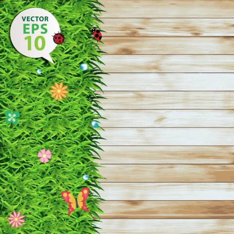 Vector green grass on wood texture background