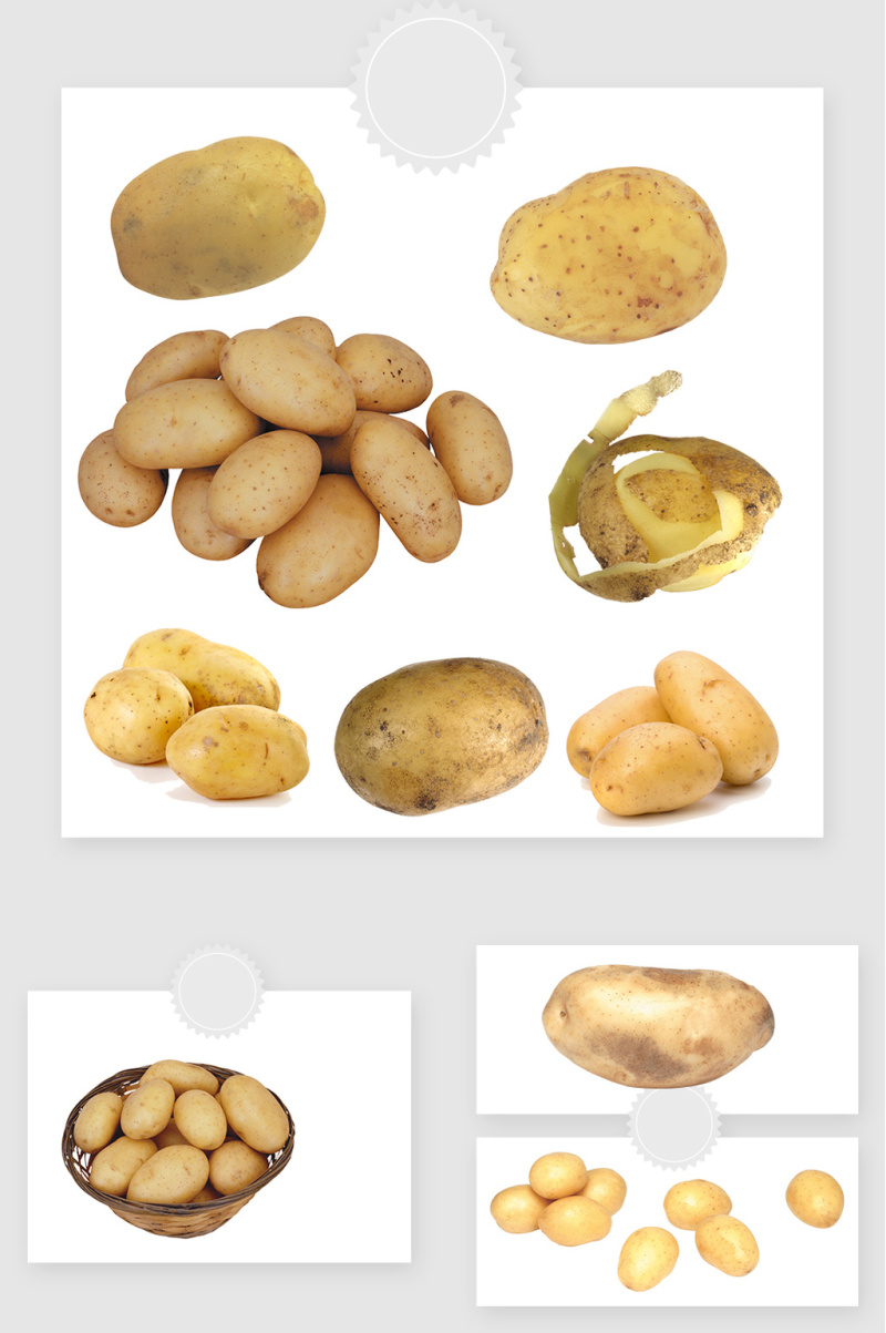 高清免抠土豆马铃薯素材