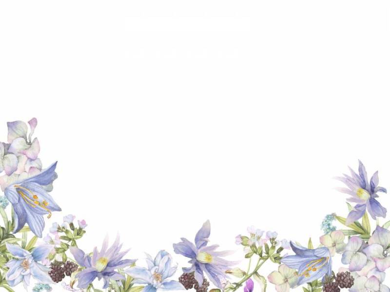 花框架140 - 蓝色的花和浆果花框架