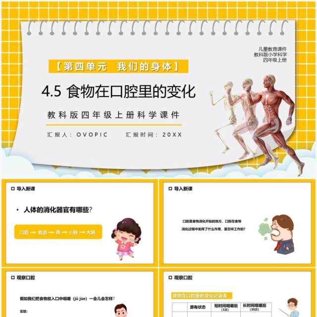 教科版四年级科学上册食物在口腔里的变化课件PPT模板 教科版四年级科学上册食物在口腔里的变化课件PPT模板
