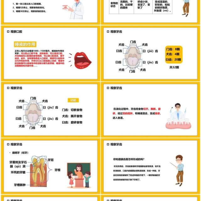 教科版四年级科学上册食物在口腔里的变化课件PPT模板