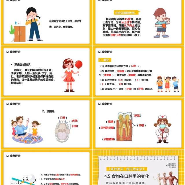 教科版四年级科学上册食物在口腔里的变化课件PPT模板