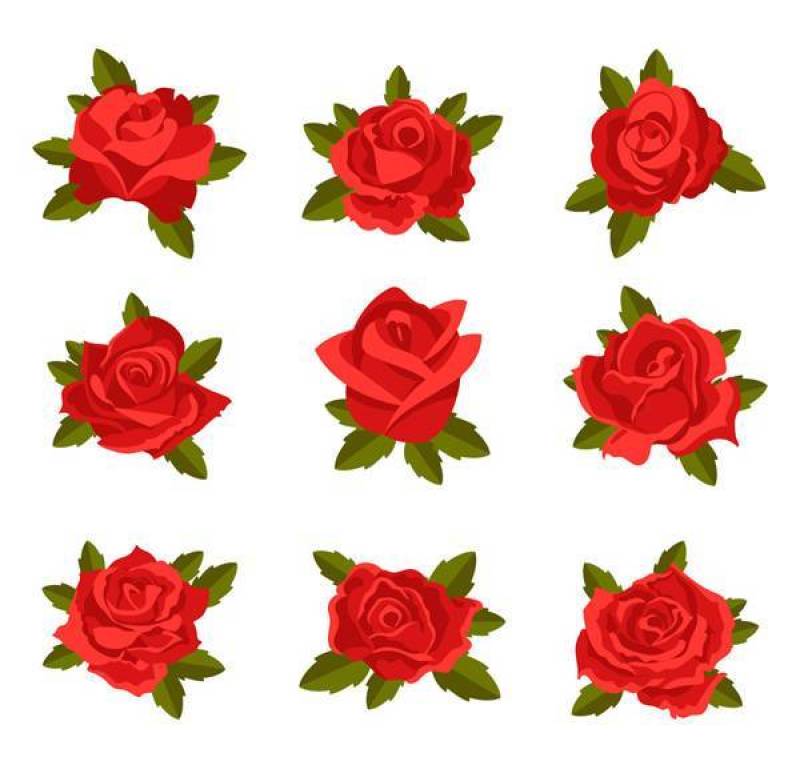 带叶玫瑰花矢量