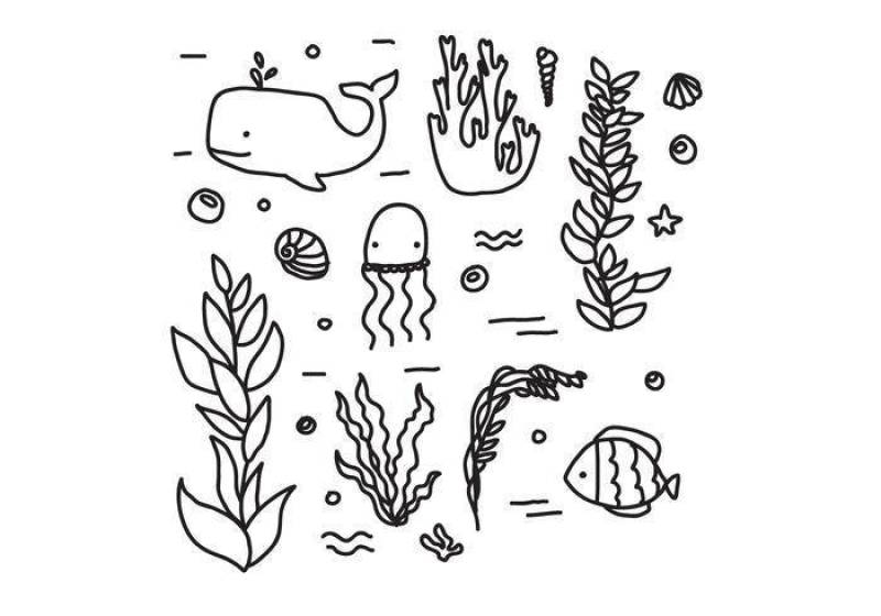 海洋矢量的动物区系和植物群