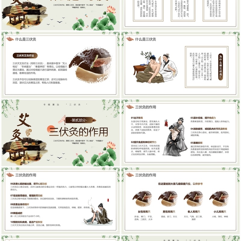 绿色中国风三伏灸知识科普PPT模板