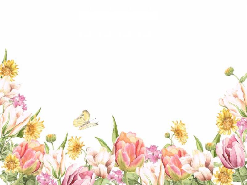 花框架108 - 郁金香和黄色的花花框架