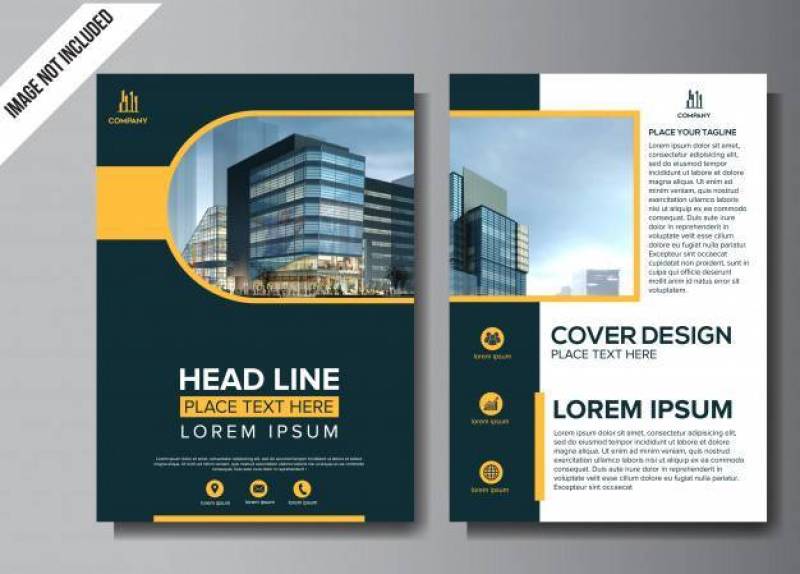 Professional Flyer business brochure design