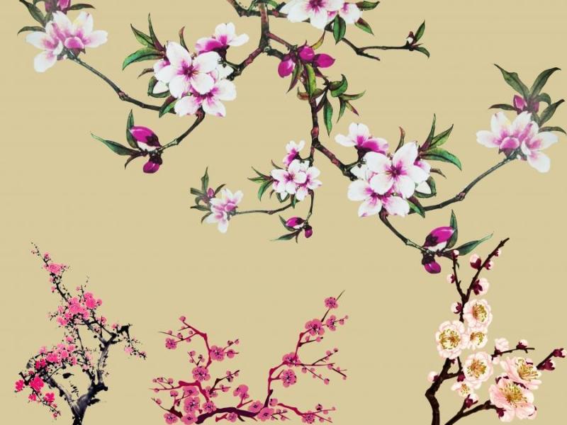 好看的桃花、梅花&nbsp;psd