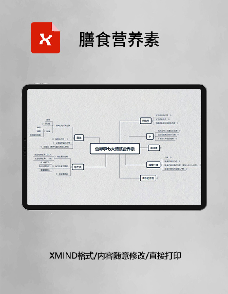 思维导图简洁膳食营养素XMind模板