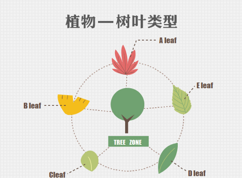 植物ppt图表