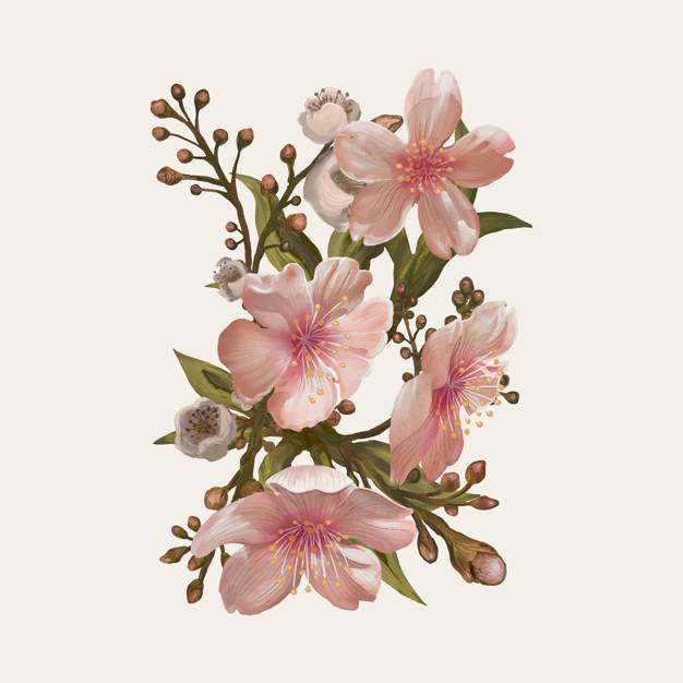 水彩花例证图画