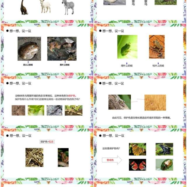 部编版八年级生物下册生物进化的原因课件PPT模板