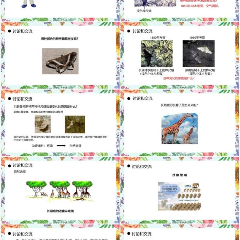 部编版八年级生物下册生物进化的原因课件PPT模板
