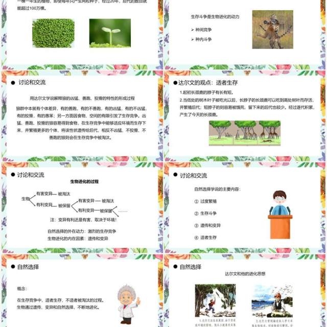 部编版八年级生物下册生物进化的原因课件PPT模板