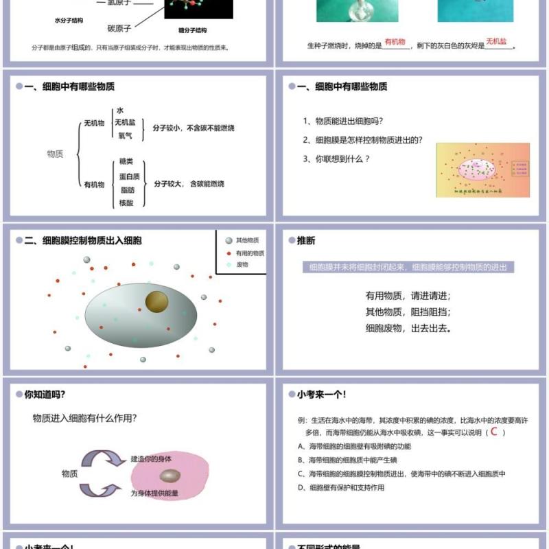 部编版七年级生物上册细胞的生活课件PPT模板