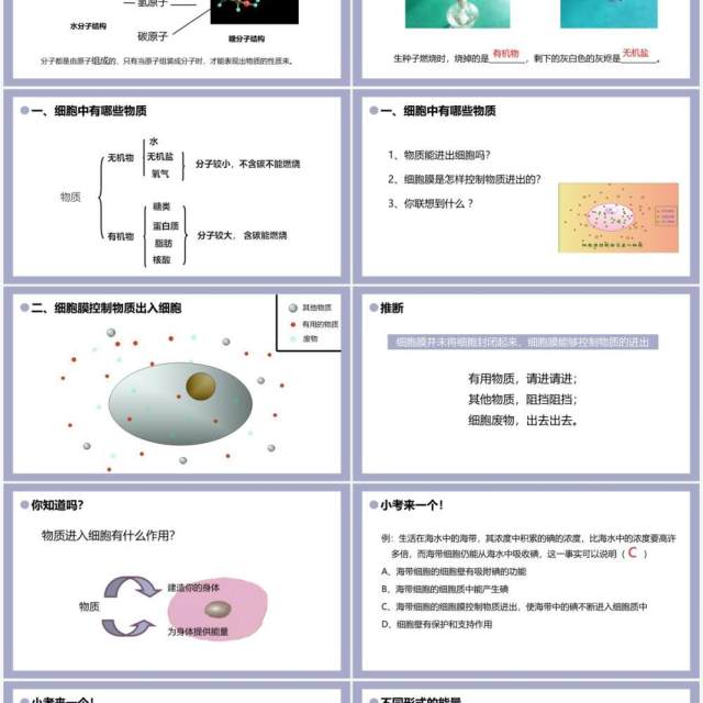 部编版七年级生物上册细胞的生活课件PPT模板 部编版七年级生物上册细胞的生活课件PPT模板