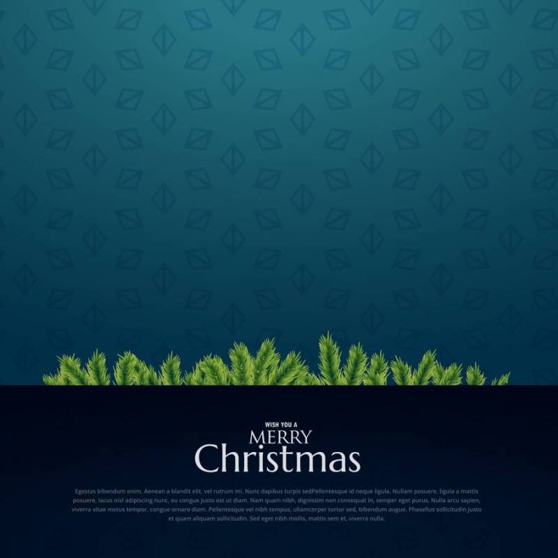 圣诞快乐节日问候与文本空间