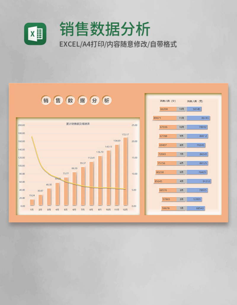 销售数据分析Execl模板