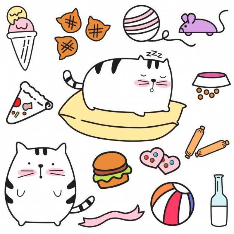Cartoon cute cat pattern