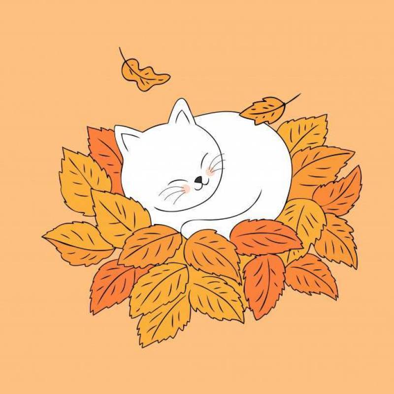 卡通可爱的秋天猫睡在叶子矢量。