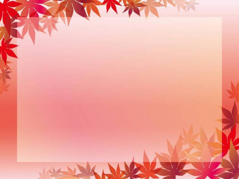 粉红色背景上的枫叶框架。