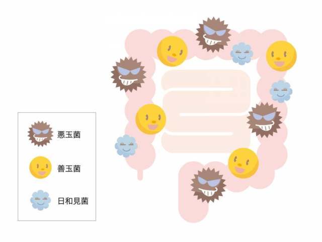 肠内细菌