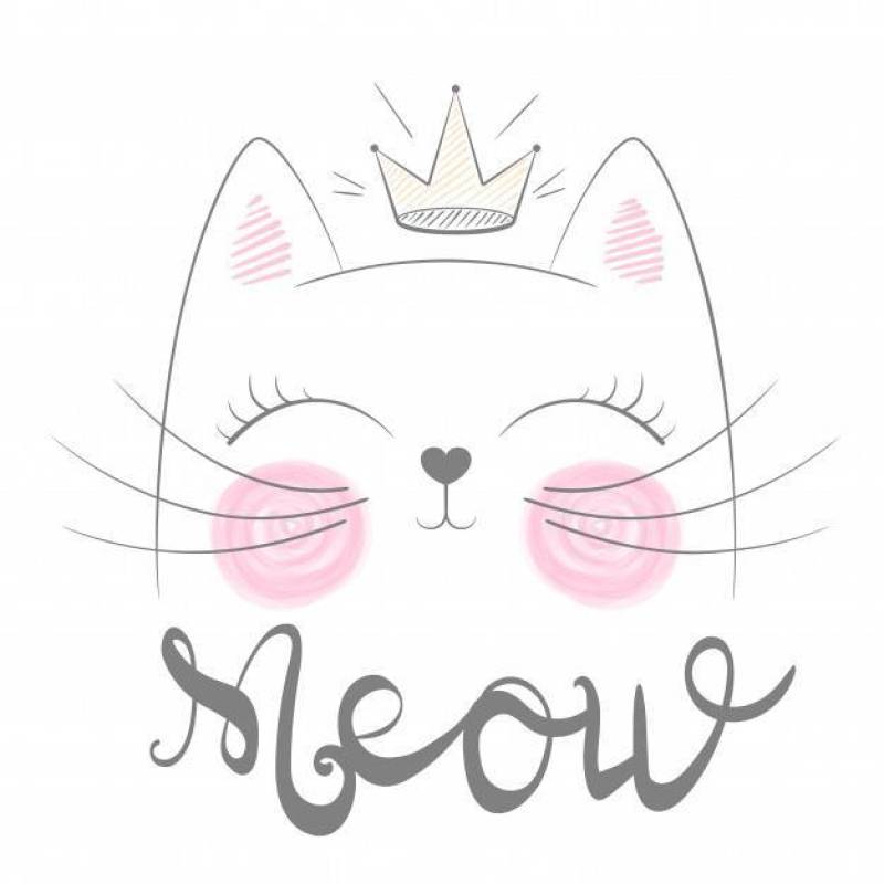 逗人喜爱的猫叫声例证。有趣的公主和印花t恤的皇冠。手绘风格。