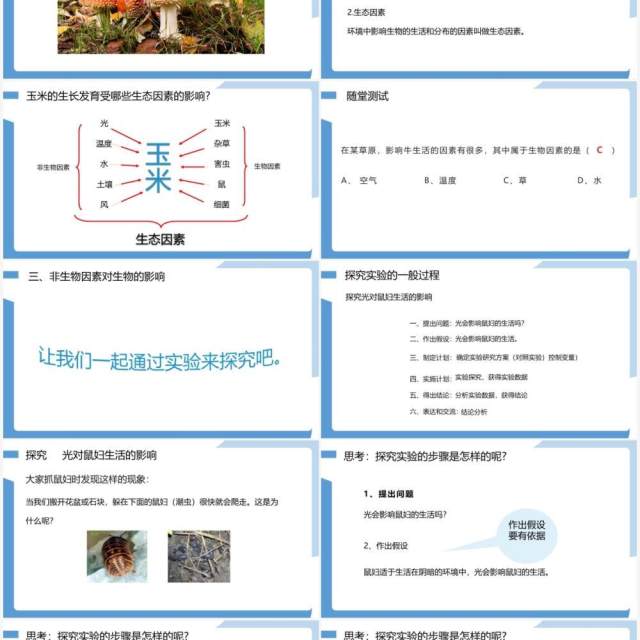 部编版七年级生物上册生物与环境的关系课件PPT模板