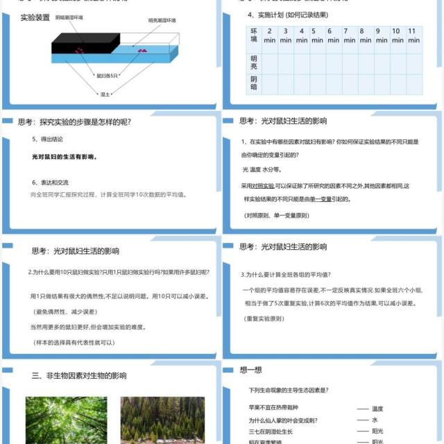 部编版七年级生物上册生物与环境的关系课件PPT模板