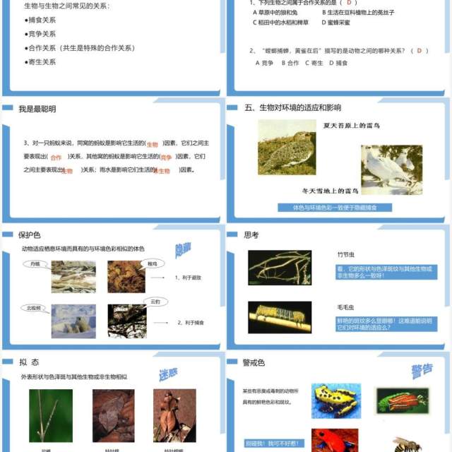 部编版七年级生物上册生物与环境的关系课件PPT模板