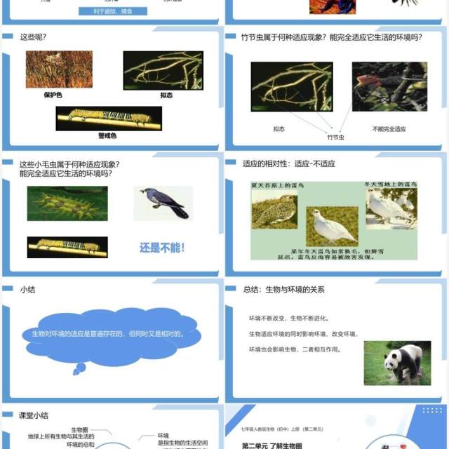 部编版七年级生物上册生物与环境的关系课件PPT模板