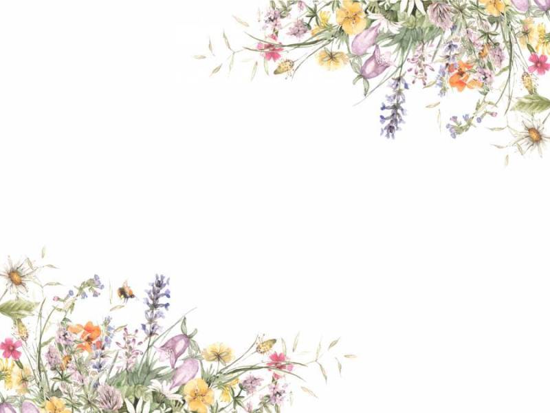 花框架154 - 在领域的风景花框架