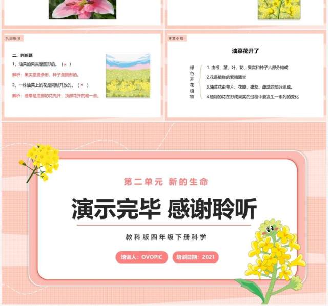 教科版四年级下册油菜花开了课件PPT模板 教科版四年级下册油菜花开了课件PPT模板