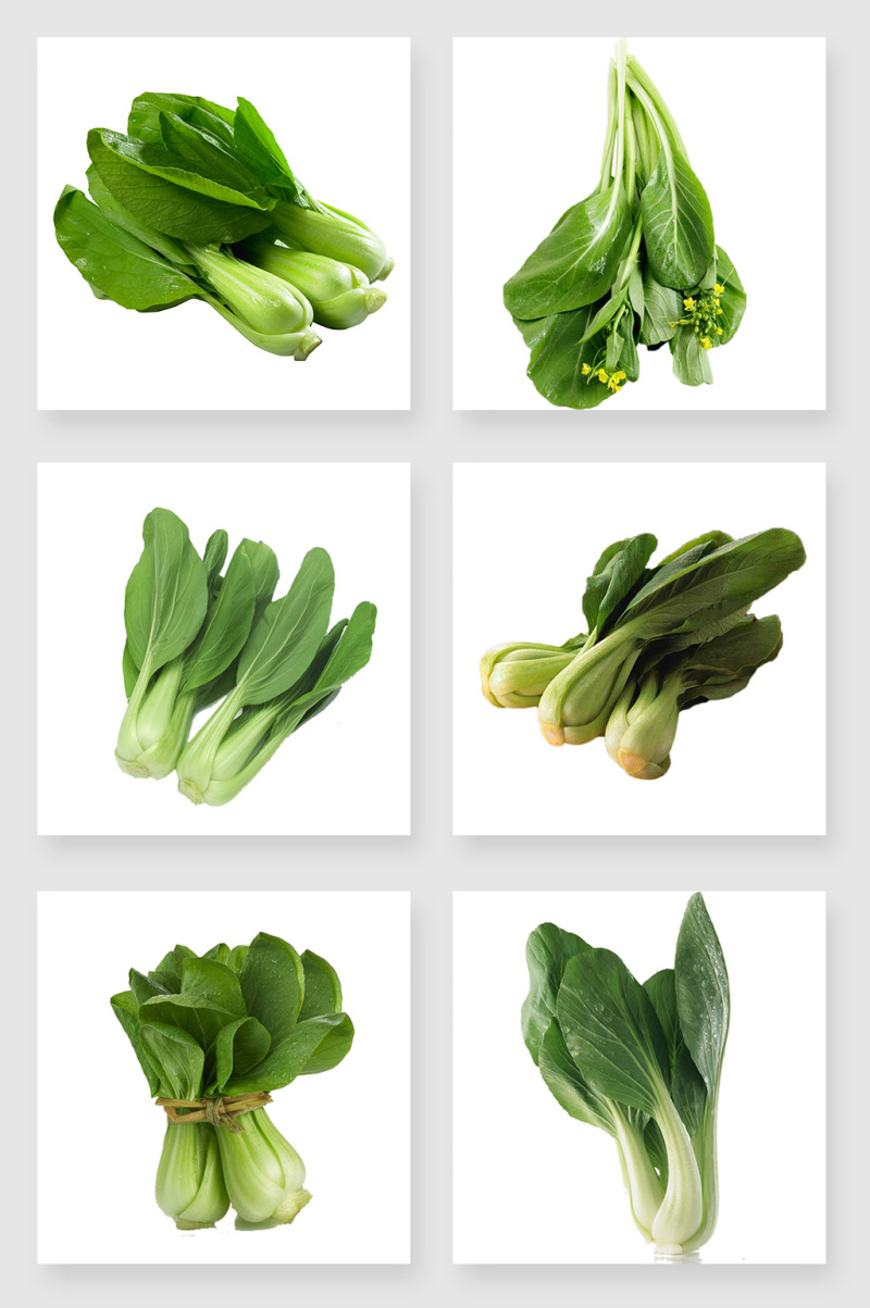 蔬菜油菜设计素材