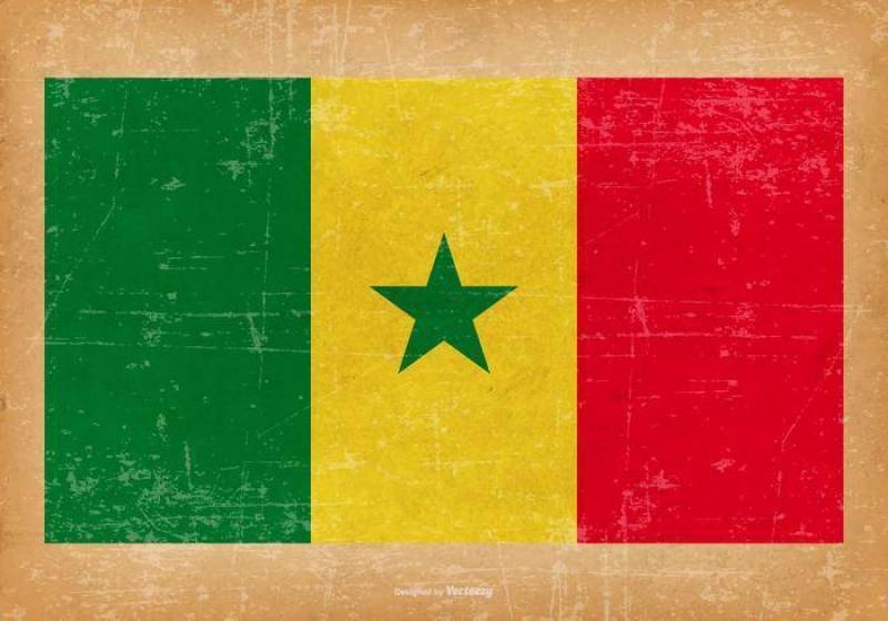 塞内加尔的Grunge旗子