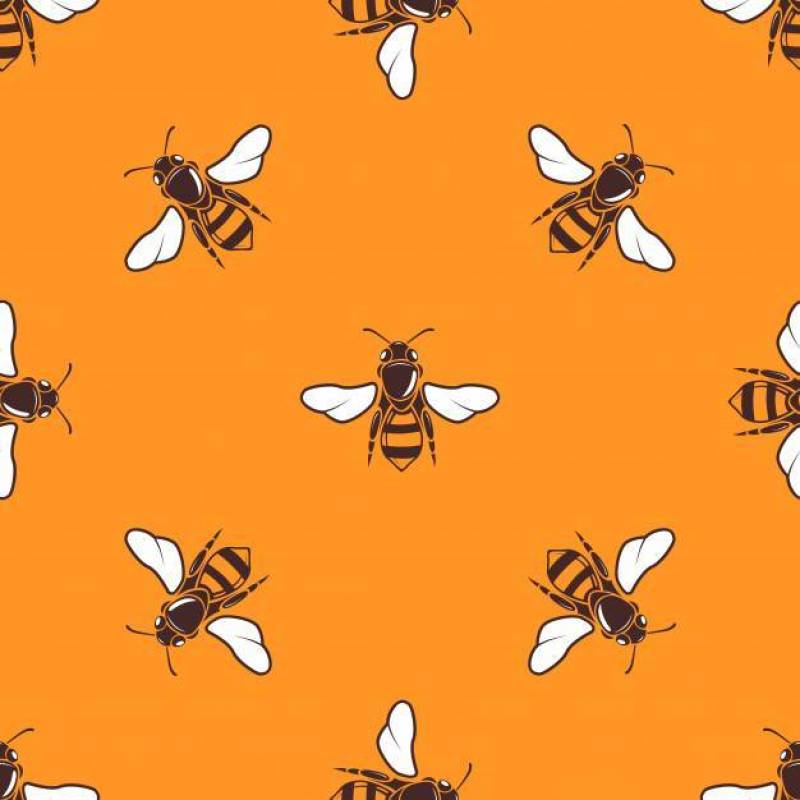 飞行的蜜蜂矢量无缝模式