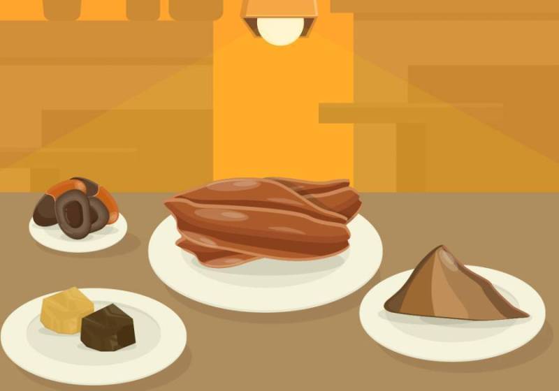 可可豆传染媒介