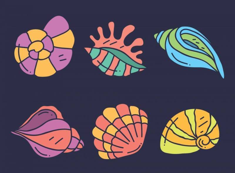 手绘扇贝集合矢量