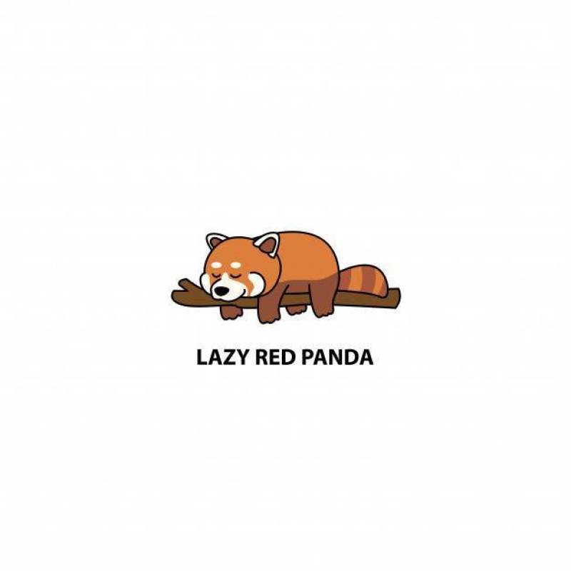懒惰的红熊猫睡觉