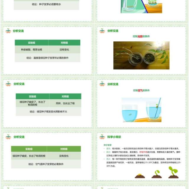 教科版五年级科学上册种子发芽实验PPT模板