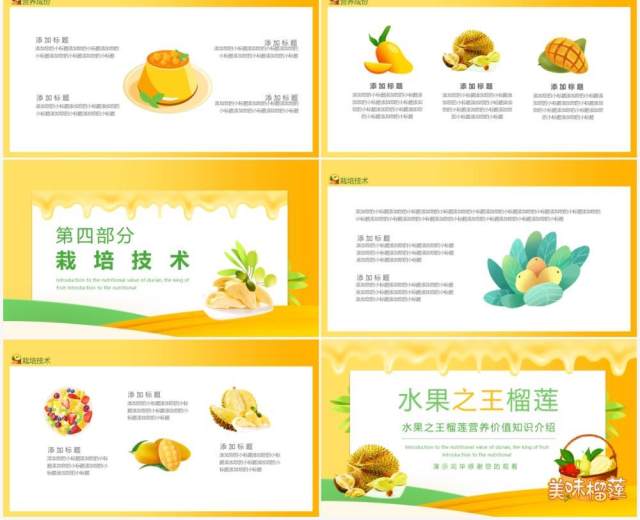 水果之王榴莲营养价值知识介绍动态PPT模板 水果之王榴莲营养价值知识介绍动态PPT模板