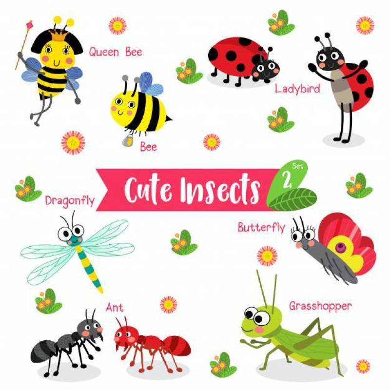 昆虫虫动物卡通