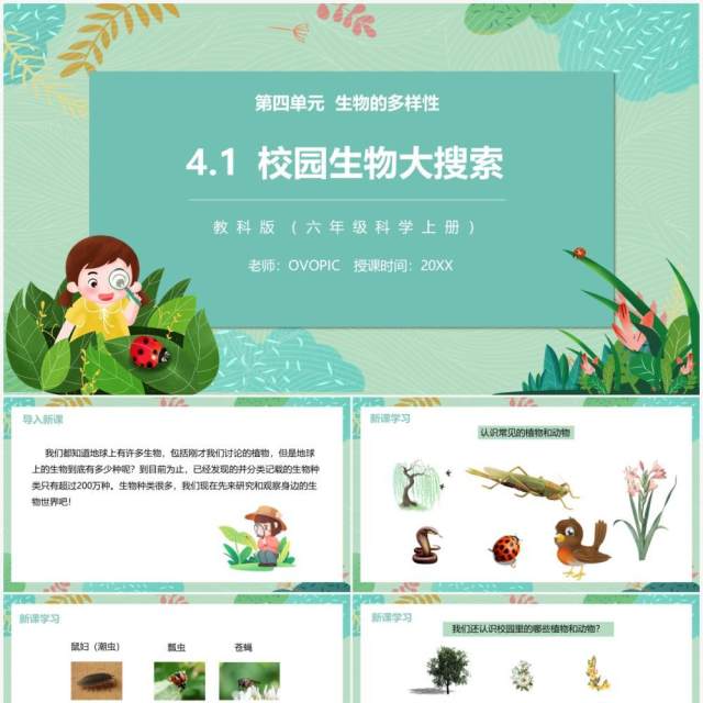 教科版六年级科学上册校园生物大搜索PPT模板 教科版六年级科学上册校园生物大搜索PPT模板