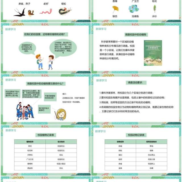 教科版六年级科学上册校园生物大搜索PPT模板