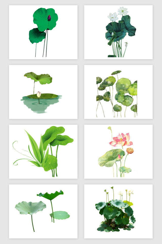 绿色荷叶荷花PNG免抠素材 绿色荷叶荷花PNG免抠素材