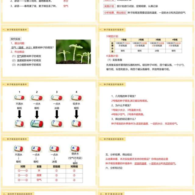 教科版四年级下册种子的萌发课件PPT模板 教科版四年级下册种子的萌发课件PPT模板